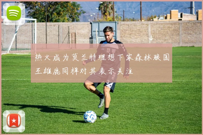 热火成为莫兰特理想下家森林狼国王雄鹿同样对其表示关注
